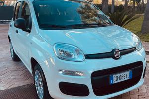 Fiat Panda 1.2 benzina