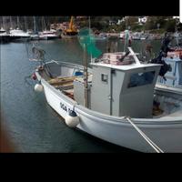 barca da pesca con licenza professionale 