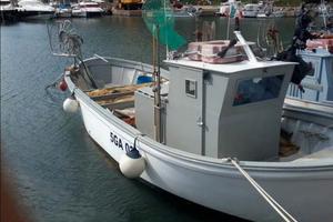 barca da pesca con licenza professionale 