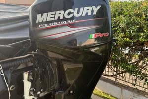 Mercury pro 40
