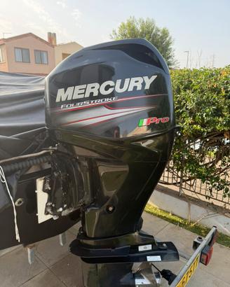 Mercury pro 40
