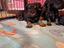 Immagine 6