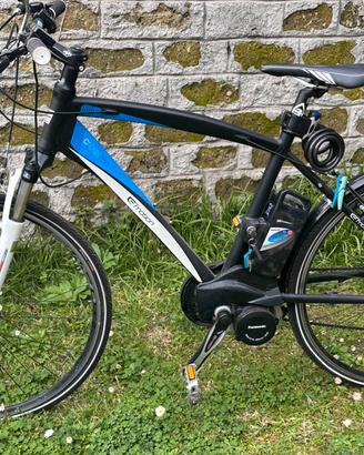 Bicicletta pedalata assistita