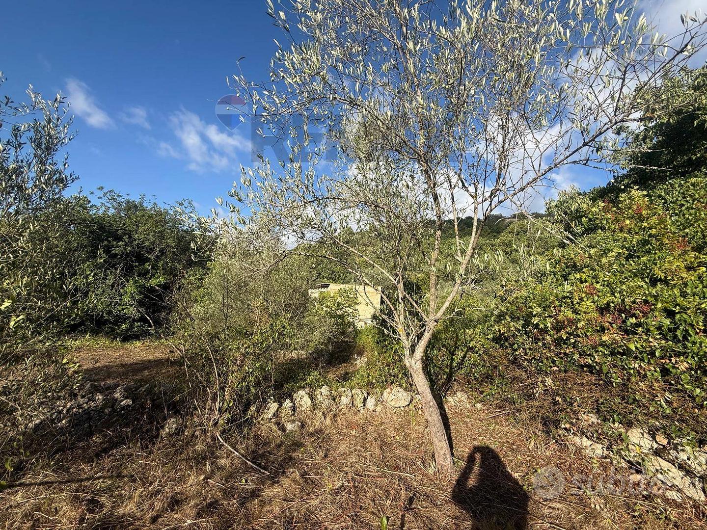 Terreno - Sortino - Vista 3