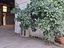 Immagine 11