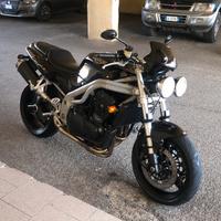 Speed triple 955i 1999