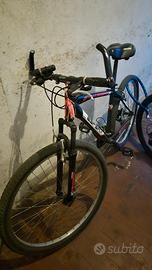 Bici Mountain bike da Uomo