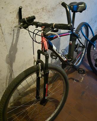 Bici Mountain bike da Uomo
