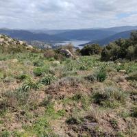 Fondo Rustico 62 Ettari circa - Gavoi (Nu)