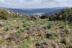 Fondo Rustico 62 Ettari circa - Gavoi (Nu)