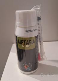 AIPTASIA STOP per acquari marini
