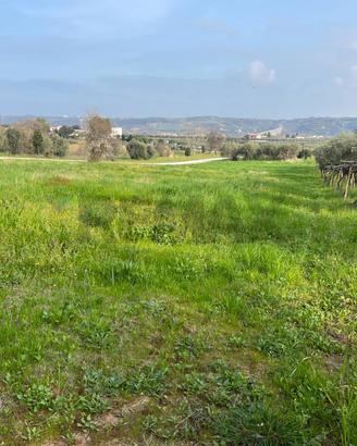 Terreno Edificabile - Miglianico