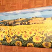 Quadro Campo di Girasoli