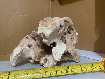 PIETRE ACQUARIO CALCAREE TIPO TEXAS PREZZO AL PZ