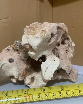 PIETRE ACQUARIO CALCAREE TIPO TEXAS PREZZO AL PZ
