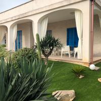 La Sirenetta Bellicosa