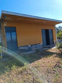 Terreno agricolo con annessa casa