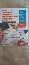 Gestione Progetto, Organizzazione d'impresa
