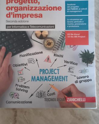 Gestione Progetto, Organizzazione d'impresa