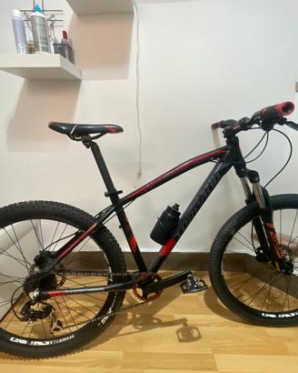 bici torpado