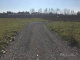 Terreno edif-le industriale urbanizzato a bagnolo