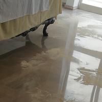 Levigatore, levigatura e lucidatura pavimenti