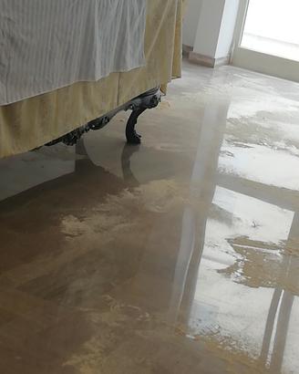 Levigatore, levigatura e lucidatura pavimenti