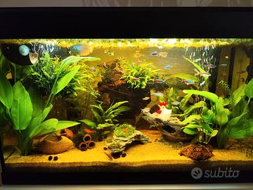 Acquario 120 Litri con mobile e accessori 