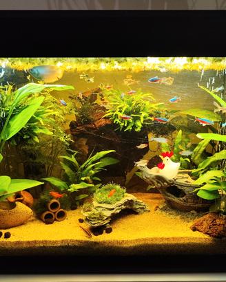 Acquario 120 Litri con mobile e accessori 