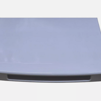 Porta superiore Completa Whirlpool Ignis