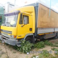 Daf telone e sponda