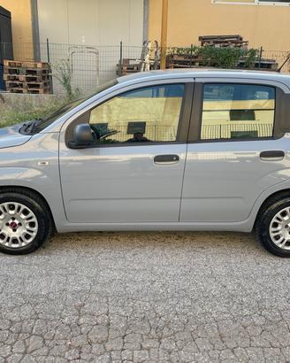 Fiat Panda 1.2 BENZINA EASY