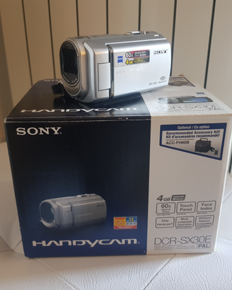 Video Camera Sony DCR-SX30E