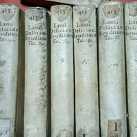 DELICIAE ERUDITORUM  6 volumi