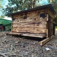 Arnia Orizzontale da 20 telaini (su ordinazio)