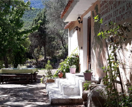 Olbia,estate,loc.Cugnana