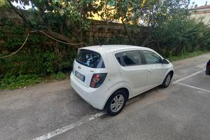 tenuta in buone condizioni adatta anche per I neop