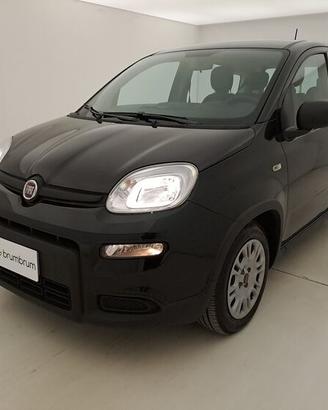 Fiat Panda Hybrid BR812913 1.0 Mild Hybrid 70CV