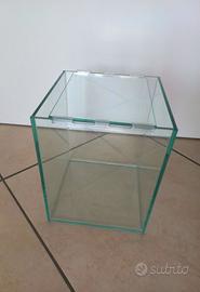 Acquario