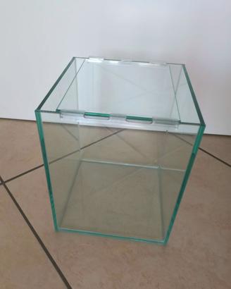 Acquario