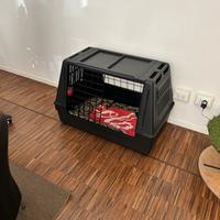 Kennel per cane taglia media