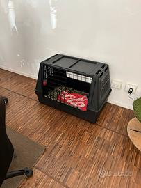 Kennel per cane taglia media