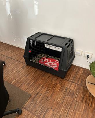 Kennel per cane taglia media
