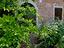Immagine 24