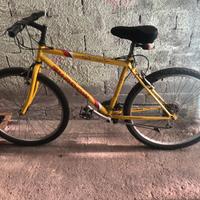 Bici da Strada Gialla