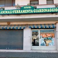 Locale commerciale mq 120