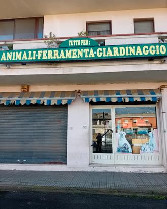 Locale commerciale mq 120