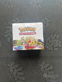 Box da 36 bustine di scarlatto e violetto 