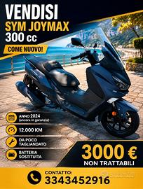 Sym Joymax 300