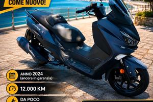 Sym Joymax 300